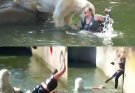 HORROR AT BERLIN ZOO: 32-Year-Old Woman Jumps Into Polar Bear Enclosure — What happened next left visitors transfixed. It was supposed to be a normal afternoon at the Berlin Zoo…See More